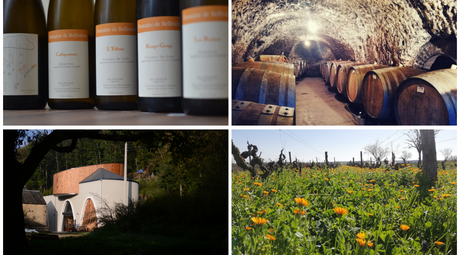 Domaine de Belliviere - profile