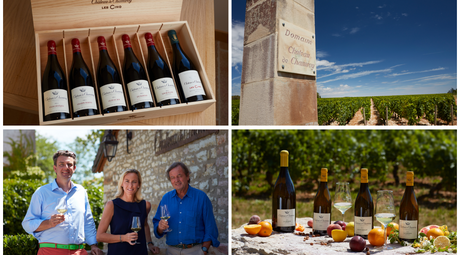 Chรขteau de Chamirey - profile
