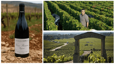 Domaine Jean Tardy: A Vosne-Romanée Artisan