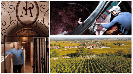 Organic Farming and Quality at Domaine Perrot-Minot