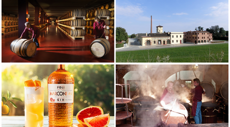 Distillerie Poli - profile