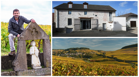 Domaine Rapet Pรจre et Fils - profile