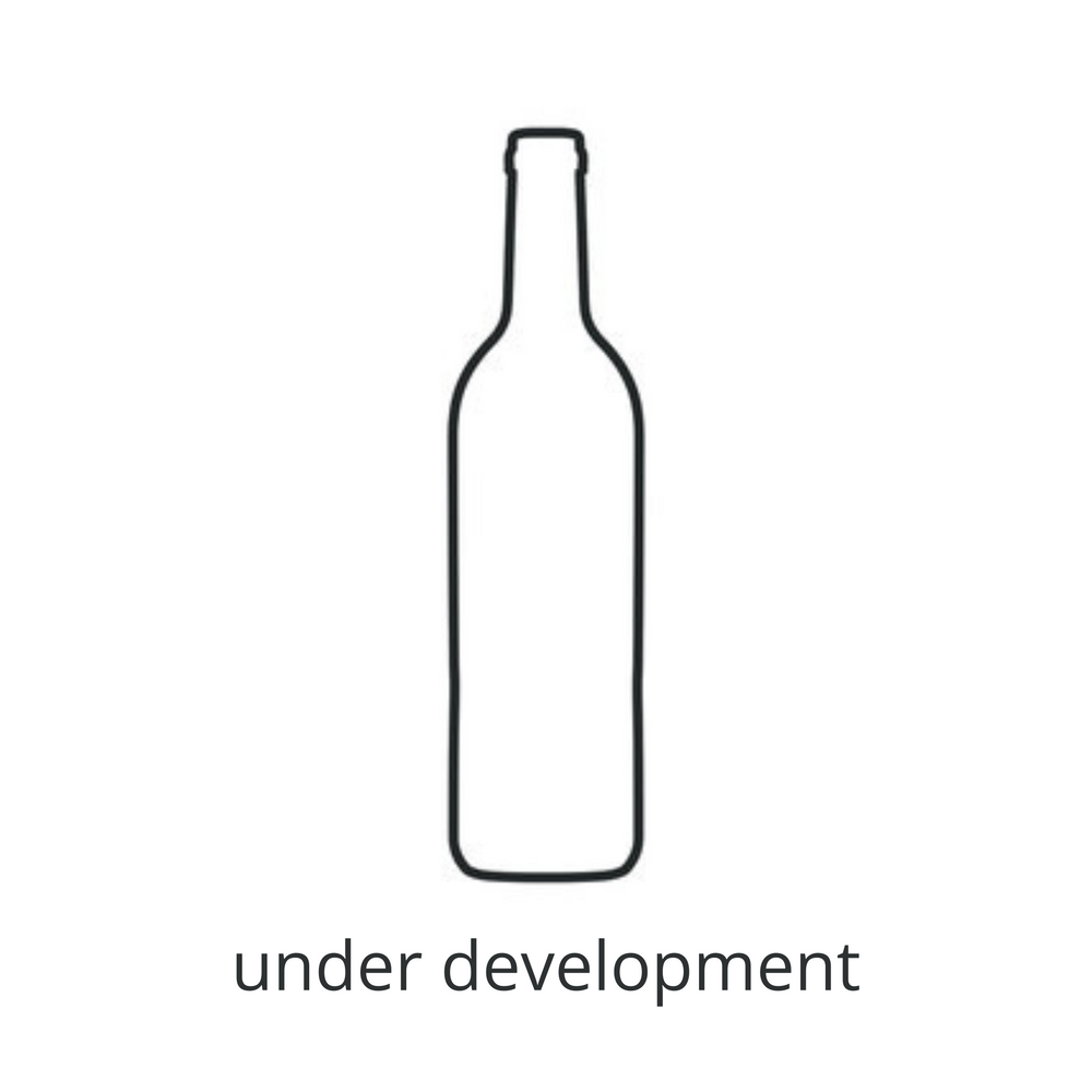 Domaine Rossignol Trapet Gevrey Chambertin V.V. 2021, 750ml