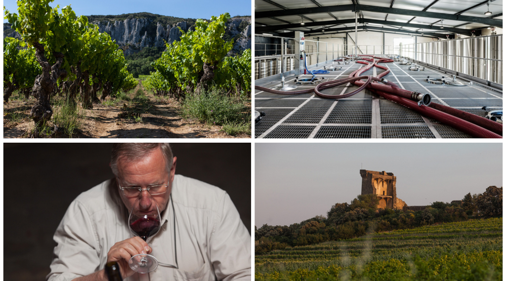 Sustainability at the Heart of Domaine Les Cailloux