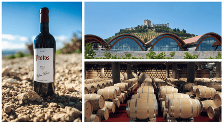 Bodegas Protos - Ribera del Duero No.1