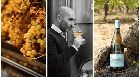 Cortese in its Purest Form: The Wines of Castellari Bergaglio