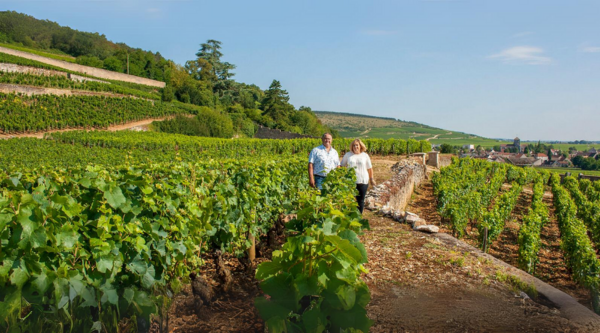 Domaine Chevillon Chezeaux - profile