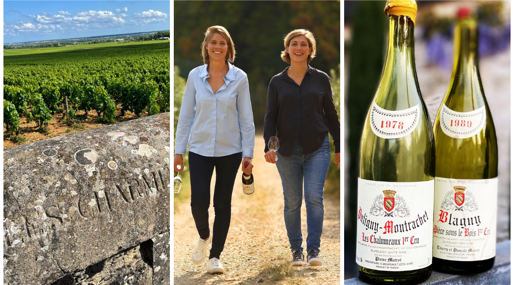 Sisters leadership in Burgundy: A New Chapter at Domaine Matrot