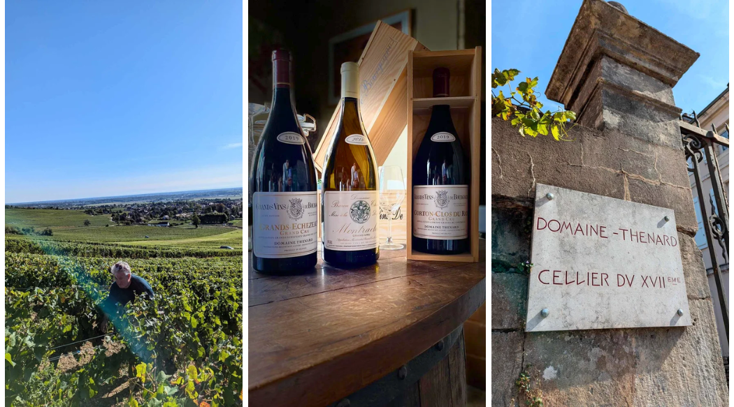 Domaine Thenard, the Last Bastion of Old-School Burgundy