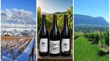 Domaine Dupraz - Organic Winemaking on the Slopes of Savoie