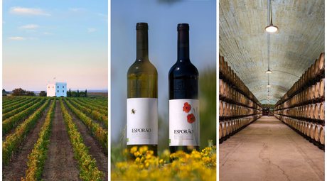 Herdade do Esporão, a Pioneer of Organic Winemaking in Alentejo