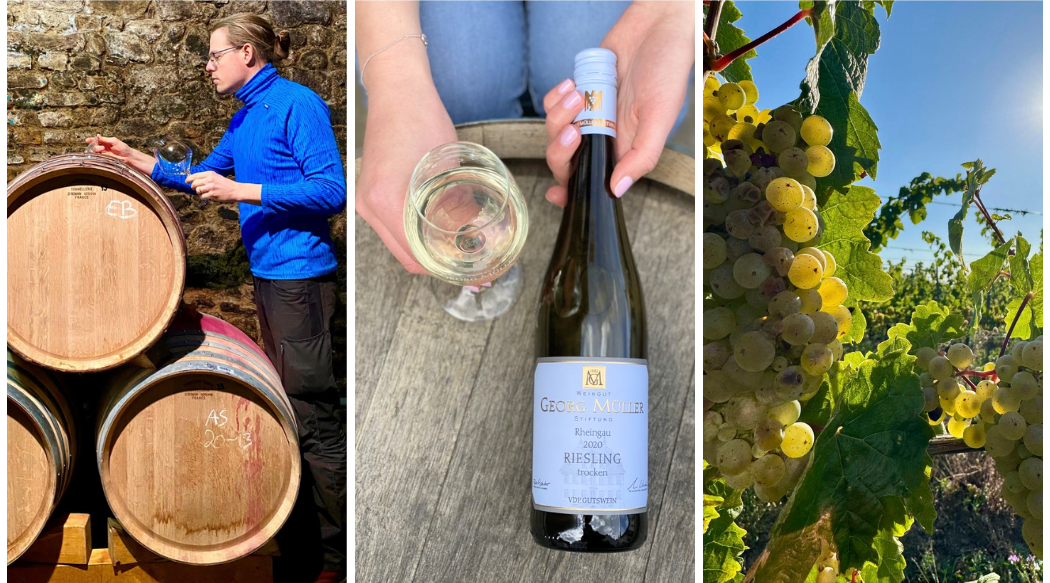 Georg Müller Stiftung - Over 100 Years of Tradition in Rheingau