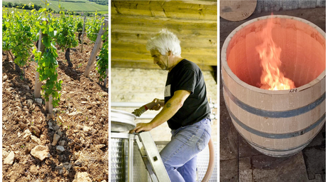 Old Vines and a Lifetime of Experience – Domaine Jean-Marc Boillot