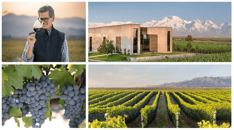 Paul Hobbs: From Apples to Wine