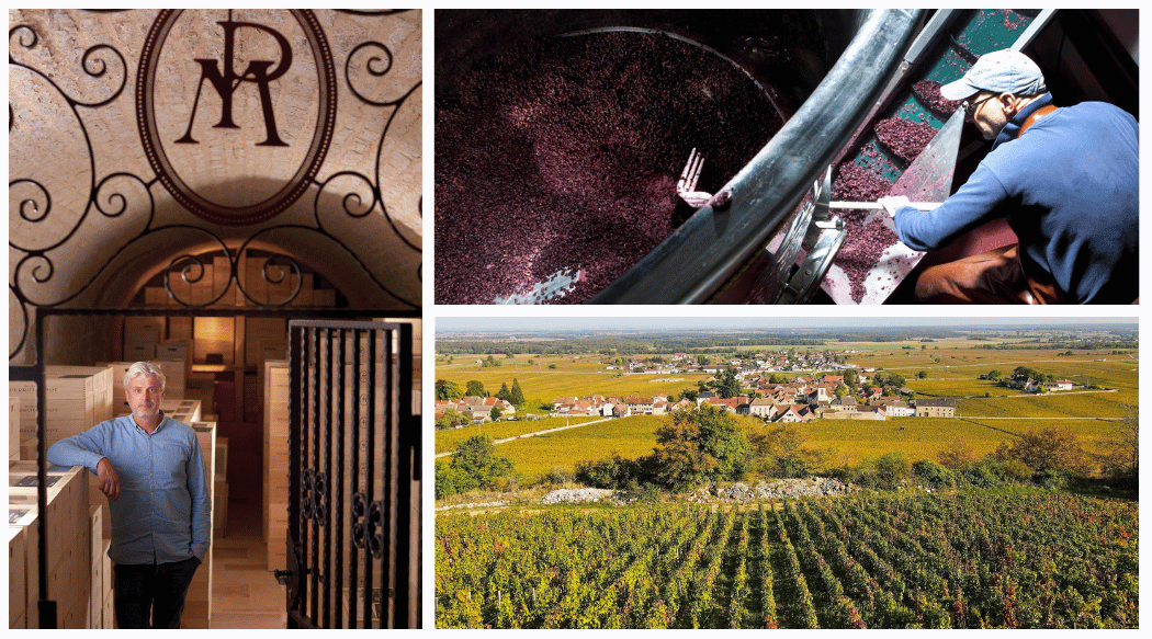 Organic Farming and Quality at Domaine Perrot-Minot
