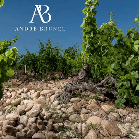 Andre Brunel - Domaine Les Cailloux
