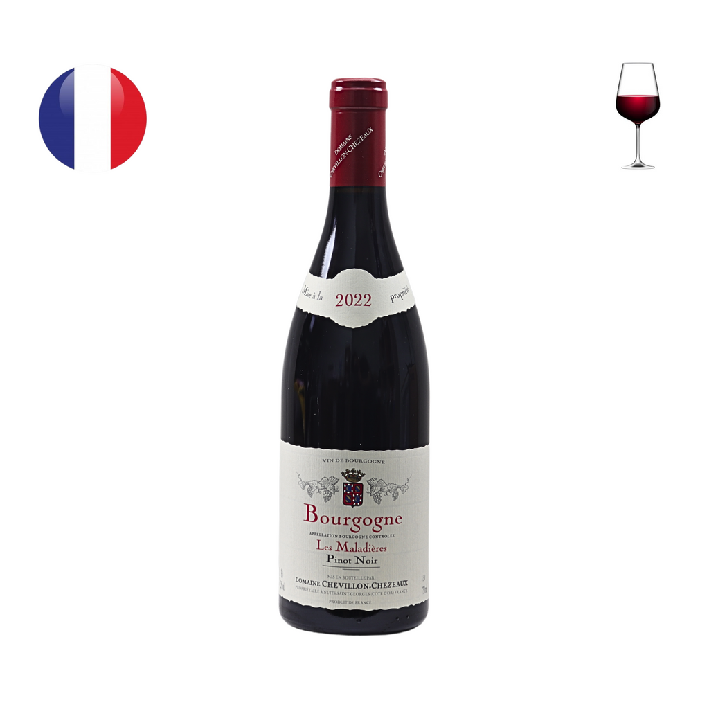 Domaine Chevillon Chezeaux Bourgogne Pinot Noir "Les Maladieres" 2022